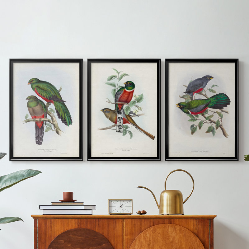 Gould Tropical Birds I  -Custom Framed  Wrapped Gallery Canvas - 3 Pieces