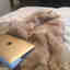 Customer photo 3 of 4