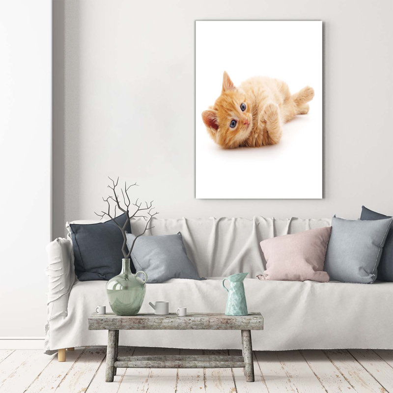 Little Red Cat - Wrapped Canvas Print