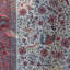 Mughal Menagerie-223574919