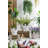 Set Of 2 6X6x9" Accepting Hands Accent Cement Hand Decor