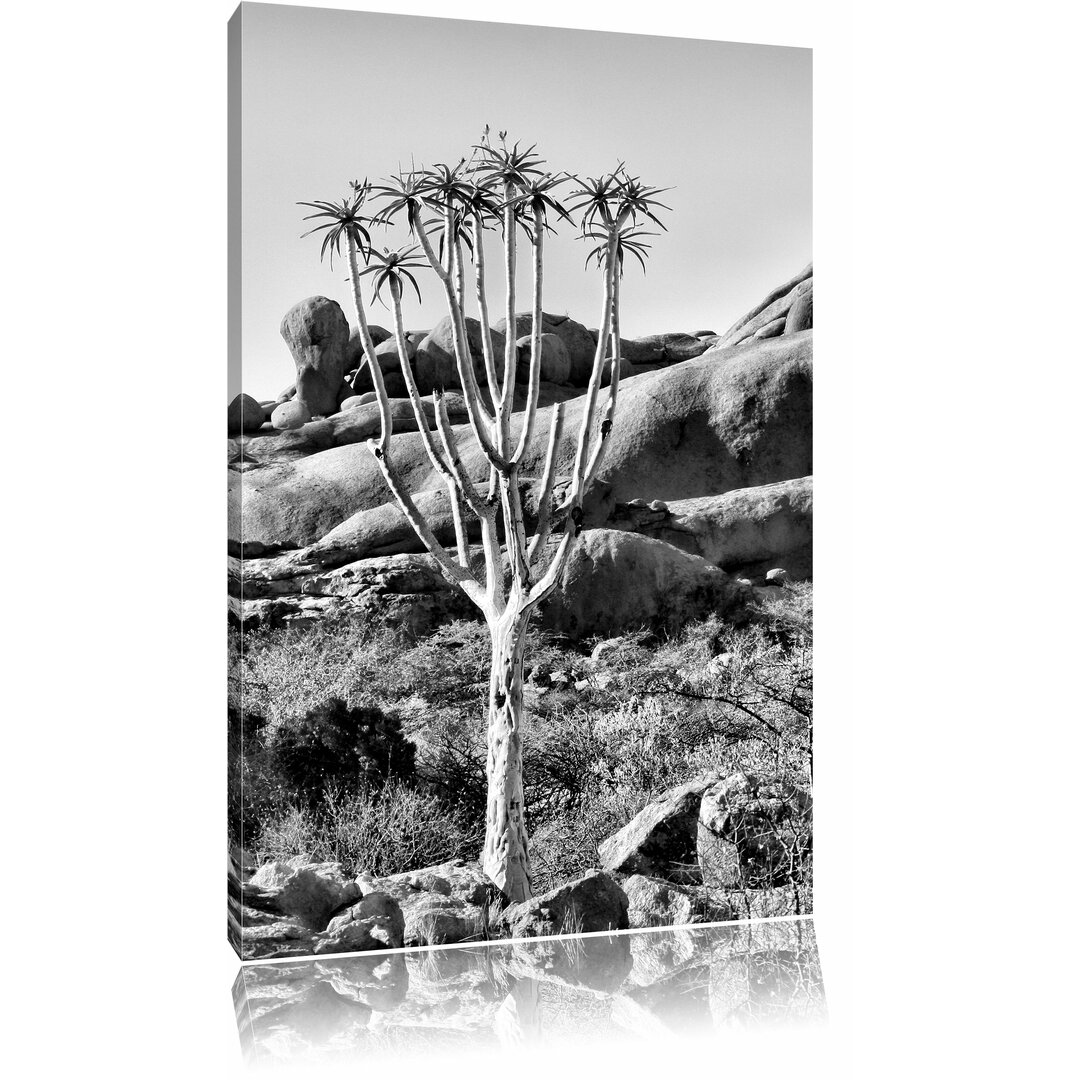 Leinwandbild Außergewöhnlicher Baum im Steingebirge in Monochrom