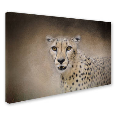Leopard Face to Face Photo Leopard Pictures Wall Decor Jungle Animal  Pictures for Wall Posters of Wild Animals Jungle Leopard Print Decor Animal  Wall Decor Stand or Hang Wood Frame Display 9x13 