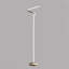 Lampe de plancher 52 po en forme de tube courbé en S 52