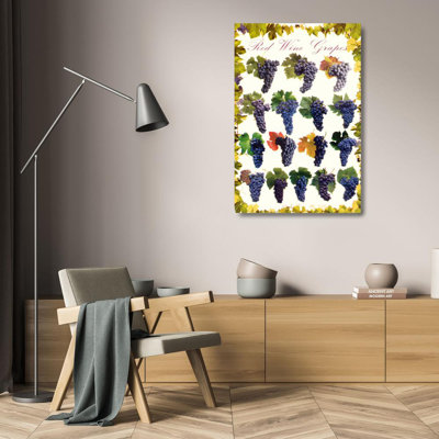 Vignes de raisin