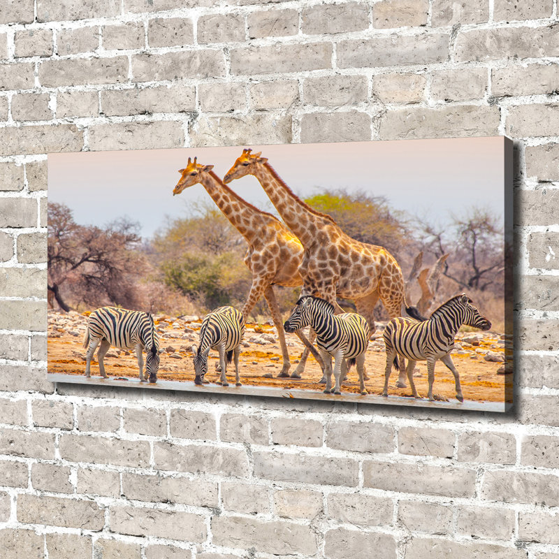Giraffes And Zebras - No Frame Print on Canvas
