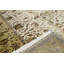 Chantel Oriental Area Rug