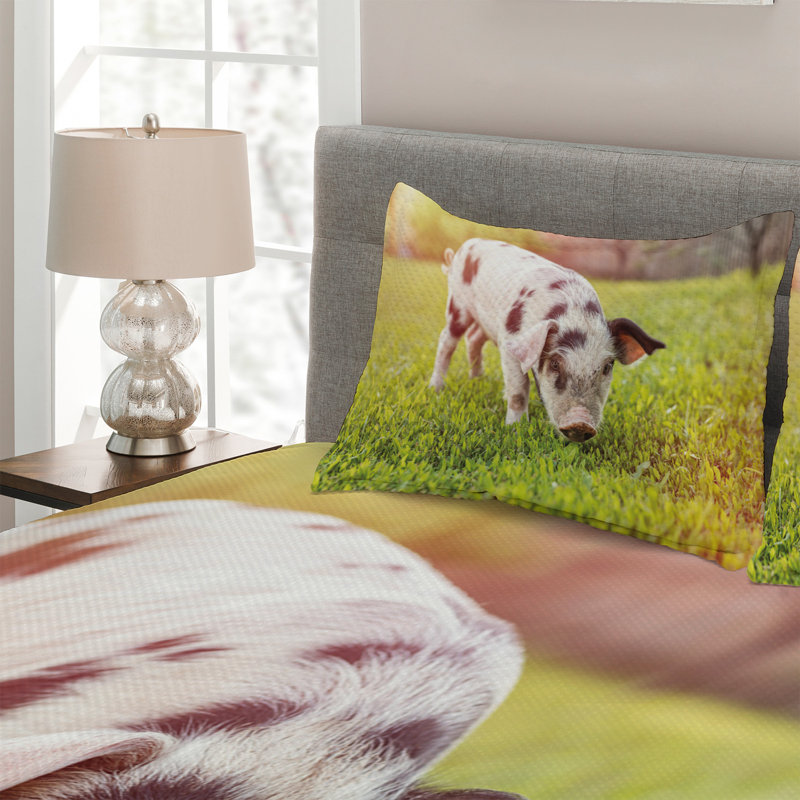 Modern & Contemporary Polyester Coverlet, King Bedspread + 2 Shams