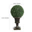 Plant-1512159057