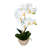 Arrangement in Pot