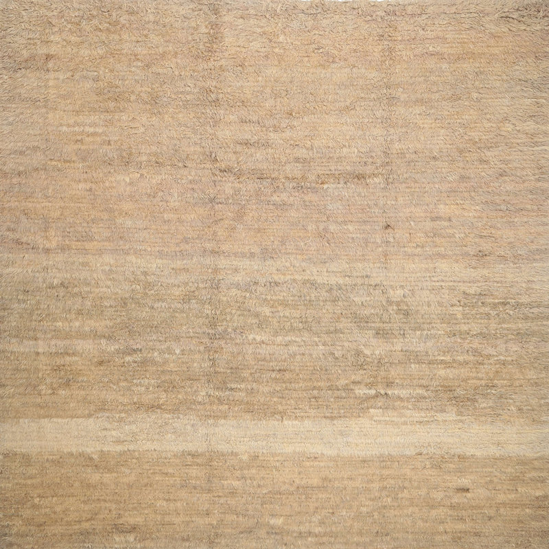 Tapis beige contemporain, Rectangle 2 pi x 5 pi
