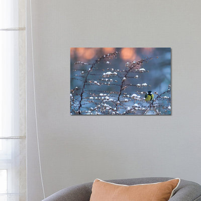 Winter Time by Mateusz Piesiak - Wrapped Canvas Print