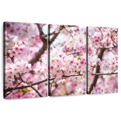 Fleurs de cerisier Harnek Hokkaido