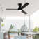 Vaczon 48" 3 - Blade Modern Black Flush Mount Ceiling Fan with LED Lights and Remote Control