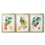 Orange de Malte - reproduction sur mesure encadrée de qualité supérieure - 3 pièces-1578508840-1578508845