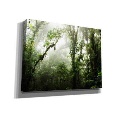 " Clodud Forest " by Nicklas Gustafsson