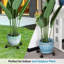 Support pour plante Edsel