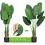 Faux arbre en fleurs-122895097
