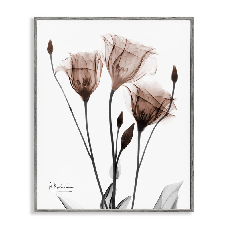 «Tulipes translucides minimalistes», art numérique par Albert Koetsier, Estampe numérique Farmhouse, 20" H x 16" W