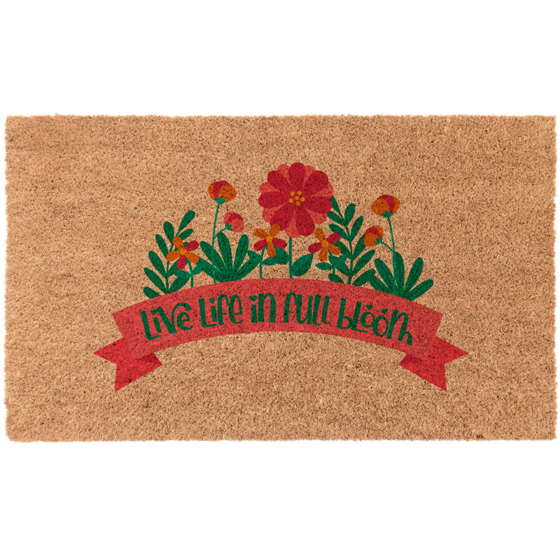 Tapis d'entrée antidérapant pour l'extérieur de 30 po x 18 po Gazdecki