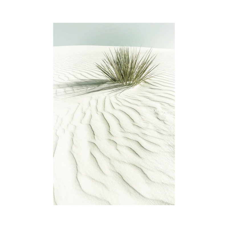 Print, 20.32 cm H x 30.48 cm W