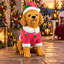Christmas Decorative Accent