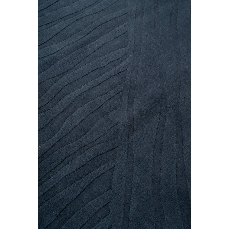 Ariso Midnight Area Rug, Rectangle 10' x 14'