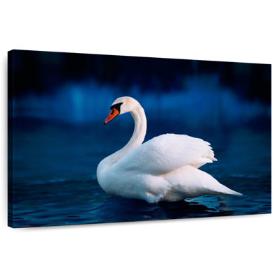 Cygne blanc pur Brampt