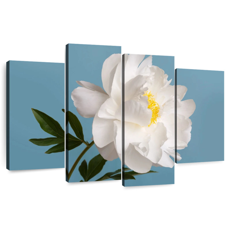Fleur de pivoine blanche Harnek, H 22 po x l 36 po