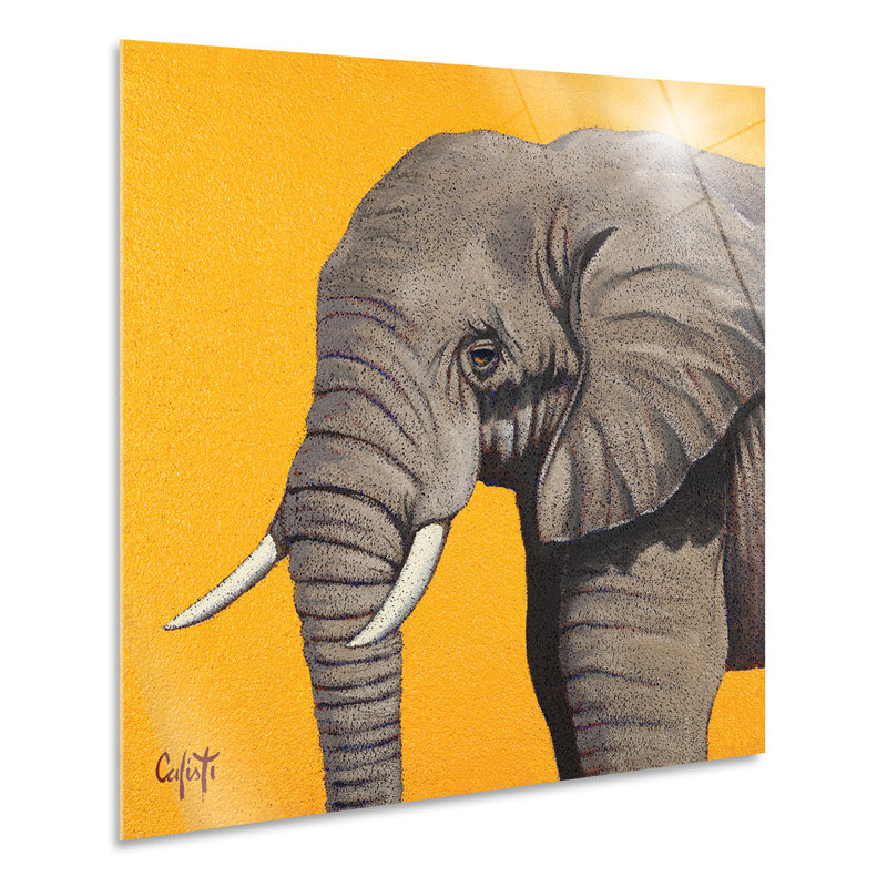 Elephant by Stefano Calisti - No Frame Painting, Plastic/Acrylic, 70cm H x 70cm W