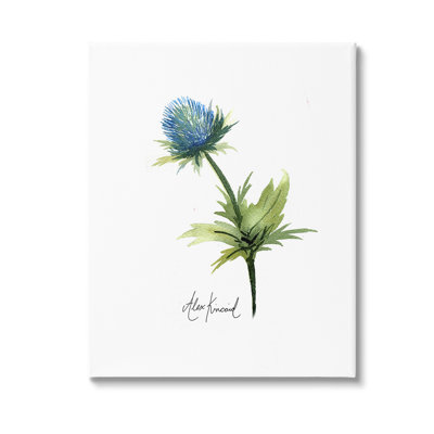 «Simple Thistle», art mural sur toile par Alexandria Gilbert Kincaid