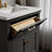 Charlemont Bathroom Vanity Cabinet With Sink And Quartz Top-93330313-93584055-125077622