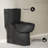 Classe One-Piece 12" Rough-In 1.1/1.6 GPF Dual Top Flush Toilet In Matte Black