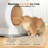 Upgraded Smart Automatic Cat Litter Box with Mat & Liner for Multi Cats, Advanced Safety System/Self Cleaning/Odor Control/APP Control-837297486