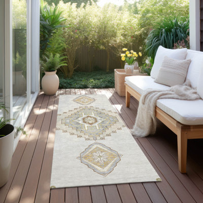 Machine Washable Indoor/Outdoor Chayden ACN1014 Rug