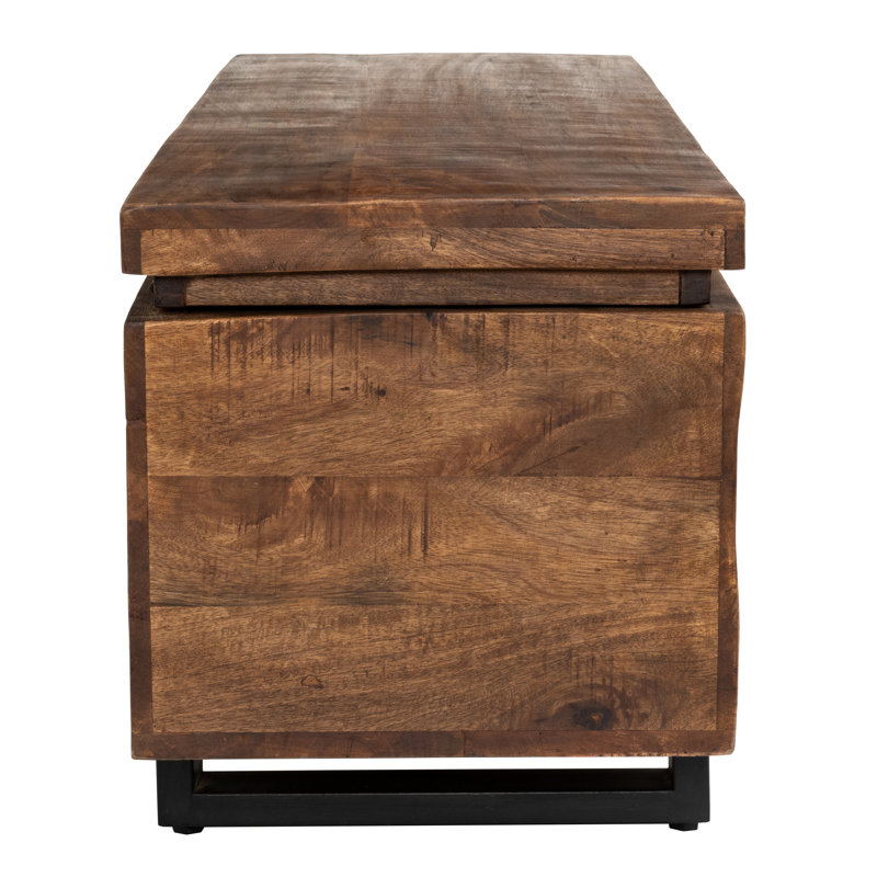 Zoe Storage Trunk