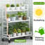 Plant Stand-712408473