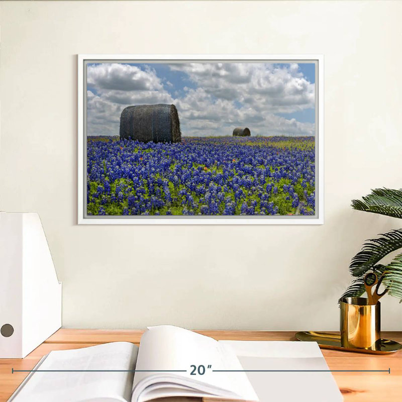 Texas Bluebonnets, Cadre flottant blanc, 13 po x 9 po