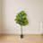 Fiddle Leaf Artificial Tree