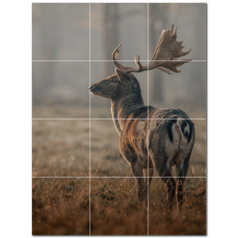 Cerf photo 6 x 6