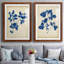 Toile encadrée Indigo Leaf Study-504656819-504656820-504889199