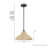 Hunter Agoura 1 Light Medium Pendant Ceiling Light Fixture