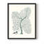 Antique encadré corail II, impression sur bois massif-2048262032-2048262033
