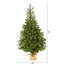 Sapin de Noël vert artificiel avec lumières blanches claires-1274870740