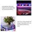 Aquarium de luxe 19,69 po-1210241987-1210241995