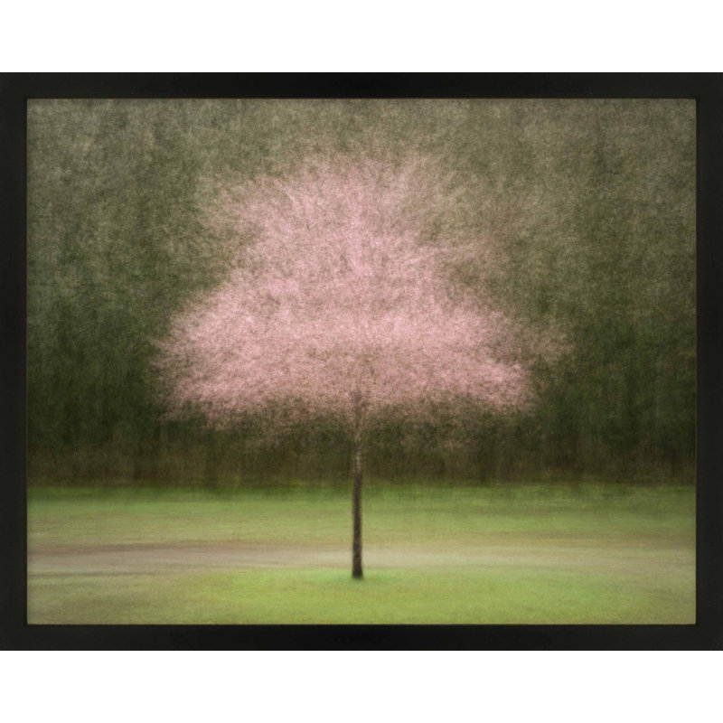 Pretty in Pink by Laura Zimmerman - Framed Wall Art, Black Framed Paper, 40" H x 50" W