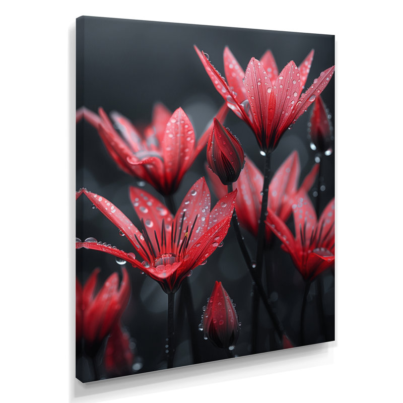 Monochromes de pissenlit, gouttes de pluie, I - art mural pissenlit, Toile tendue, H 12 po x l 20 po