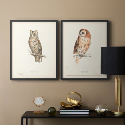 Scops Eared Owl - reproduction encadrée de qualité supérieure - prête à être accrochée - aucun clou requis - aucun clou requis