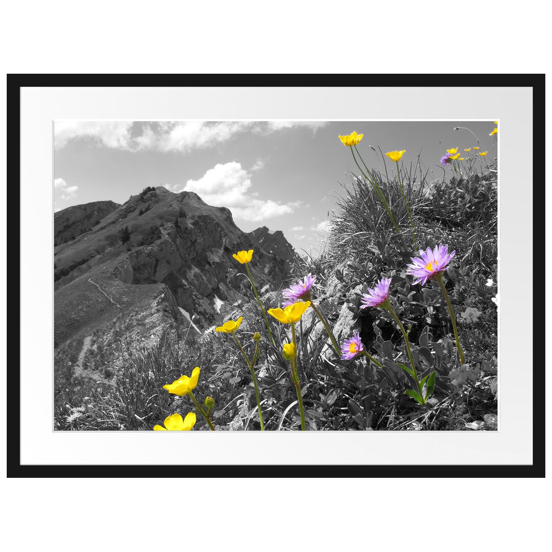 Gerahmter Fotodruck Flower Meadow in Spring