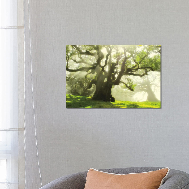 Big And Bright by Ily Szilagyi - Wrapped Canvas Print, 66.04 cm H x 45.72 cm W x 3.175 cm D